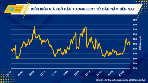 Khô đậu tương có nguy cơ tăng giá vào quý I/2023 gây áp lực lên ngành chăn nuôi