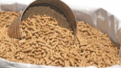 Kim ngạch xuất khẩu thức ăn gia súc năm 2022 đạt 1,13 tỷ USD