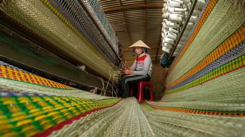 Nghề dệt chiếu cói Phú Tân