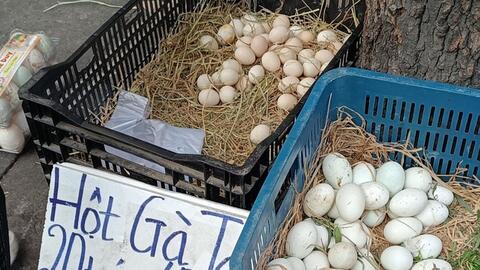 Trứng gà ta rẻ hơn trứng gà công nghiệp