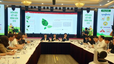 Thúc đẩy mô hình sản xuất nông nghiệp đại điền, hàng hóa lớn