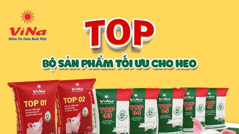 Vinafeed Group ra mắt dòng sản phẩm cao cấp mới cho heo