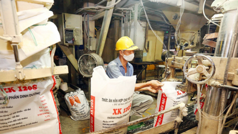 Xuất khẩu thức ăn gia súc quý I/2023 giảm 15,8% kim ngạch