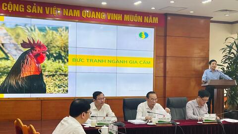 Tìm cách đưa ngành chăn nuôi gia cầm thoát cảnh càng nuôi càng lỗ