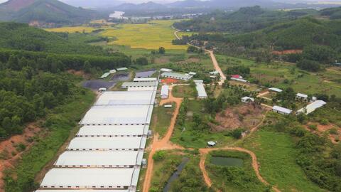 Ngành chăn nuôi: Rất cần không gian để phát triển bền vững