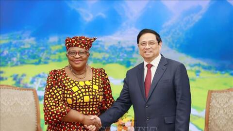 Thủ tướng Chính phủ Phạm Minh Chính tiếp Tổng giám đốc Tổ chức Thương mại Thế giới