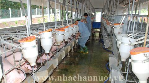 Tóm tắt quy định về vùng an toàn dịch bệnh theo tiêu chuẩn của Tổ chức Thú y Thế giới