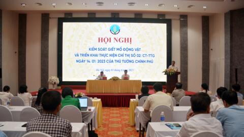 Kiểm soát giết mổ động vật để đảm bảo vệ sinh an toàn thực phẩm