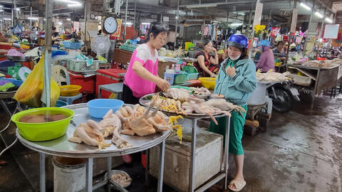 Giá vịt thịt ở mức thấp