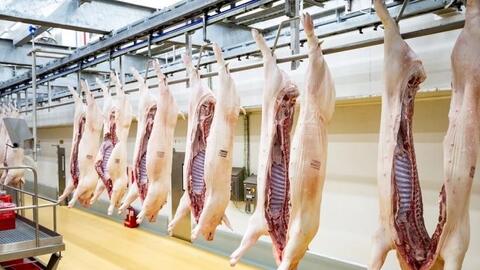 Tp. Hồ Chí Minh: Có 07 cơ sở giết mổ gia súc, gia cầm