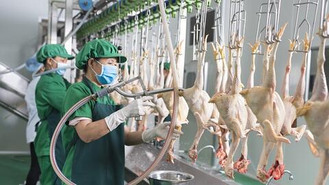 Giết mổ gia súc, gia cầm công nghiệp: Cần “cú hích” đủ mạnh