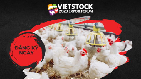 Hội thảo chuyên ngành chăn nuôi gà thịt tại Bình Dương