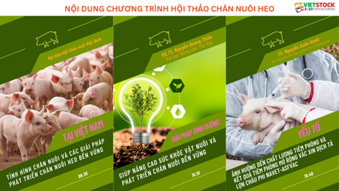 Hội thảo chuyên ngành chăn nuôi heo tại Biên Hòa, Đồng Nai