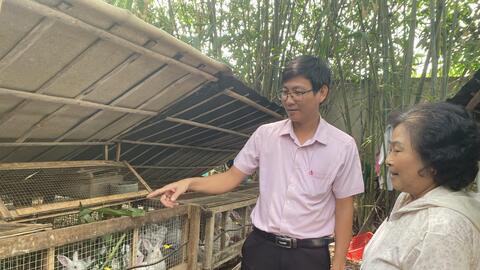 Hiệu quả từ mô hình nuôi thỏ giống và thương phẩm