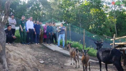 Đoàn Kinh tế-Quốc phòng 379 tập huấn kỹ thuật chăn nuôi cho bà con biên giới