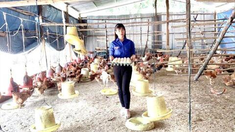 Nữ cử nhân về quê thu tiền tỷ từ chăn nuôi