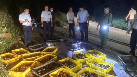 Lạng Sơn: Liên tiếp thu giữ số lượng lớn gia cầm giống nhập lậu