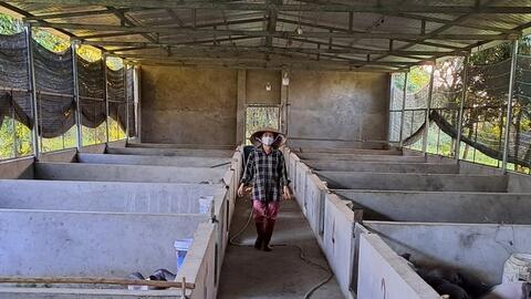 Nữ triệu phú lợn Móng Cái