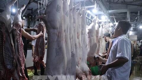 Hà Nội xây dựng chuỗi liên kết trong chăn nuôi quy mô lớn