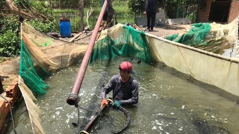 Phát triển vùng nuôi trồng chuyên canh thuỷ sản gắn với hệ thống kênh thuỷ lợi Dầu Tiếng - Phước Hoà 