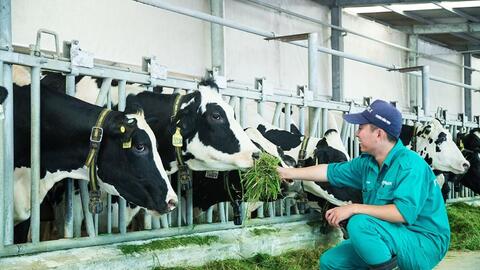 Đẩy mạnh hoạt động khoa học và công nghệ ngành chăn nuôi