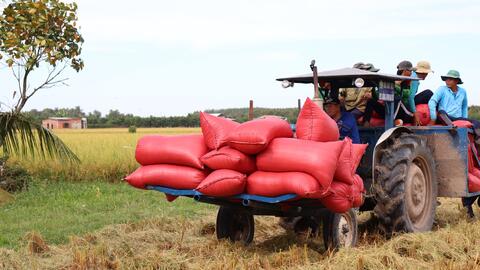 Ngành Nông nghiệp: Nhiều giải pháp đồng bộ thực hiện nhiệm vụ năm 2024 