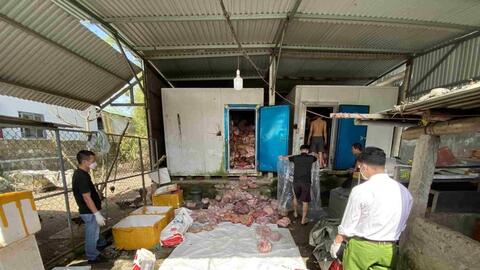 Nhiều mẫu xét nghiệm trong 3 tấn thịt nhiễm khuẩn E.coli gấp 60 lần