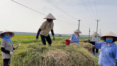Thúc đẩy kinh tế nông nghiệp xanh