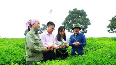 Nguồn vốn ủy thác sang Ngân hàng Chính sách xã hội đã vượt kế hoạch cả năm