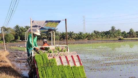 Phát huy vai trò của khoa học công nghệ trong phát triển nông nghiệp, nông thôn 