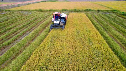 Tây Ninh: Phấn đấu hoàn thành các chỉ tiêu chương trình mục tiêu quốc gia vào năm 2025 