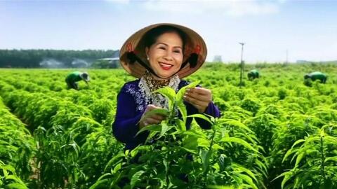 Bà Năm Trà khởi nghiệp ở tuổi 60