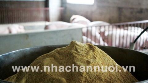 Giá thức ăn chăn nuôi đồng loạt giảm