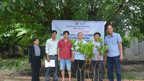 Tân Châu: Bàn giao cây giống thực hiện mô hình trồng thâm canh chôm chôm 