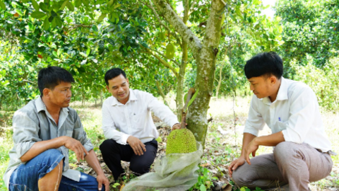 Bài 2: Tháo gỡ những khó khăn 