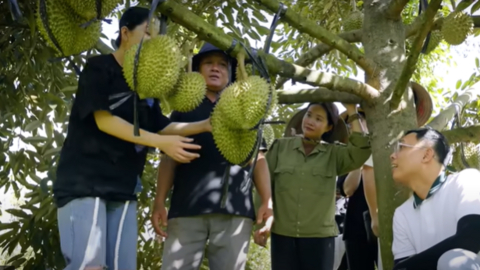 Đưa nông sản Việt lên sóng livestream cùng Hằng "du mục"