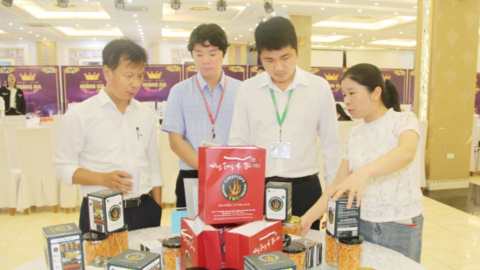 Công nghệ sinh học - công cụ phát triển nông nghiệp bền vững