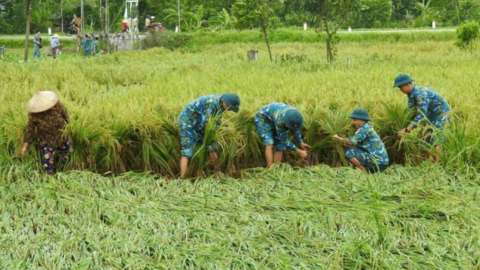 Bài 3: Sau bão lũ, ngành Nông nghiệp cần "liều thuốc đặc biệt"