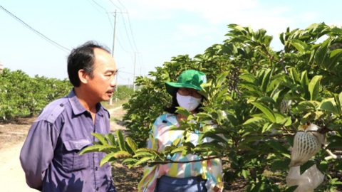 Nhiều kiến nghị gỡ khó trong tiếp cận chính sách khuyến nông 