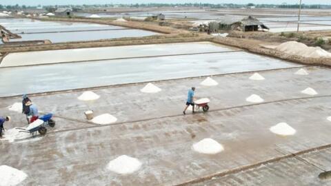 Festival nghề muối lần đầu tiên sẽ diễn ra vào quý I/2025