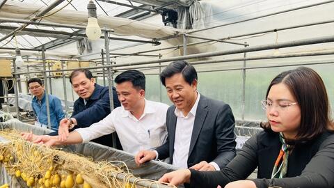 Ngành nông nghiệp Thủ đô “hồi sinh” sau bão, lũ