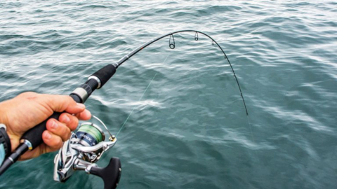 Đại sứ quán Việt Nam tại Nhật Bản gấp rút triển khai công tác bảo hộ công dân