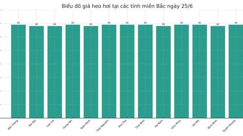 Giá heo hơi hôm nay 25/6/2025: Duy trì giá cao