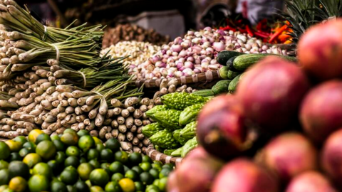 Chanh, bưởi, sầu riêng Việt tăng trưởng mạnh tại Canada nhờ CPTPP