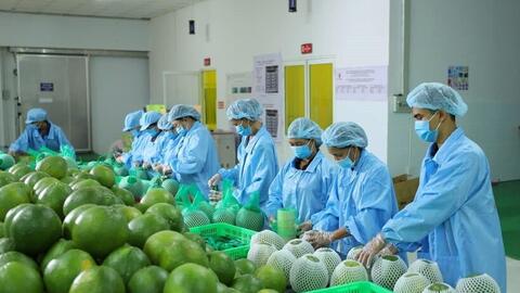 5 năm thực thi EVFTA: Xuất khẩu nông, lâm, thủy sản hưởng lợi lớn