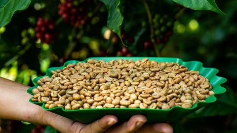 Xây dựng thương hiệu: Hướng đến dòng cà phê đặc sản