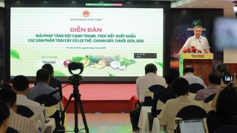 Bàn giải pháp mở rộng thị trường cho nhiều loại trái cây Việt