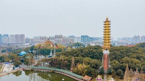 Đưa hàng đến Ngạc Châu (Trung Quốc): Cơ hội tăng tốc xây dựng thương hiệu Việt