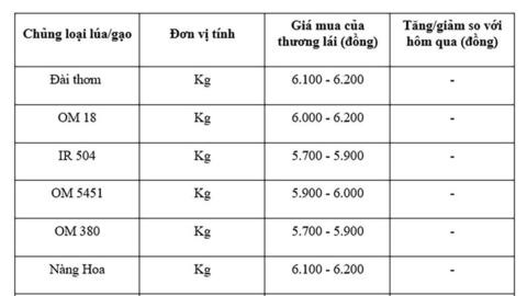 Giá lúa gạo hôm nay ngày 5/8: Gạo bình ổn, lúa tươi vững giá