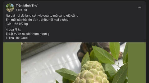 Lý do na dai Chi Lăng 'được lòng' người tiêu dùng Thủ đô